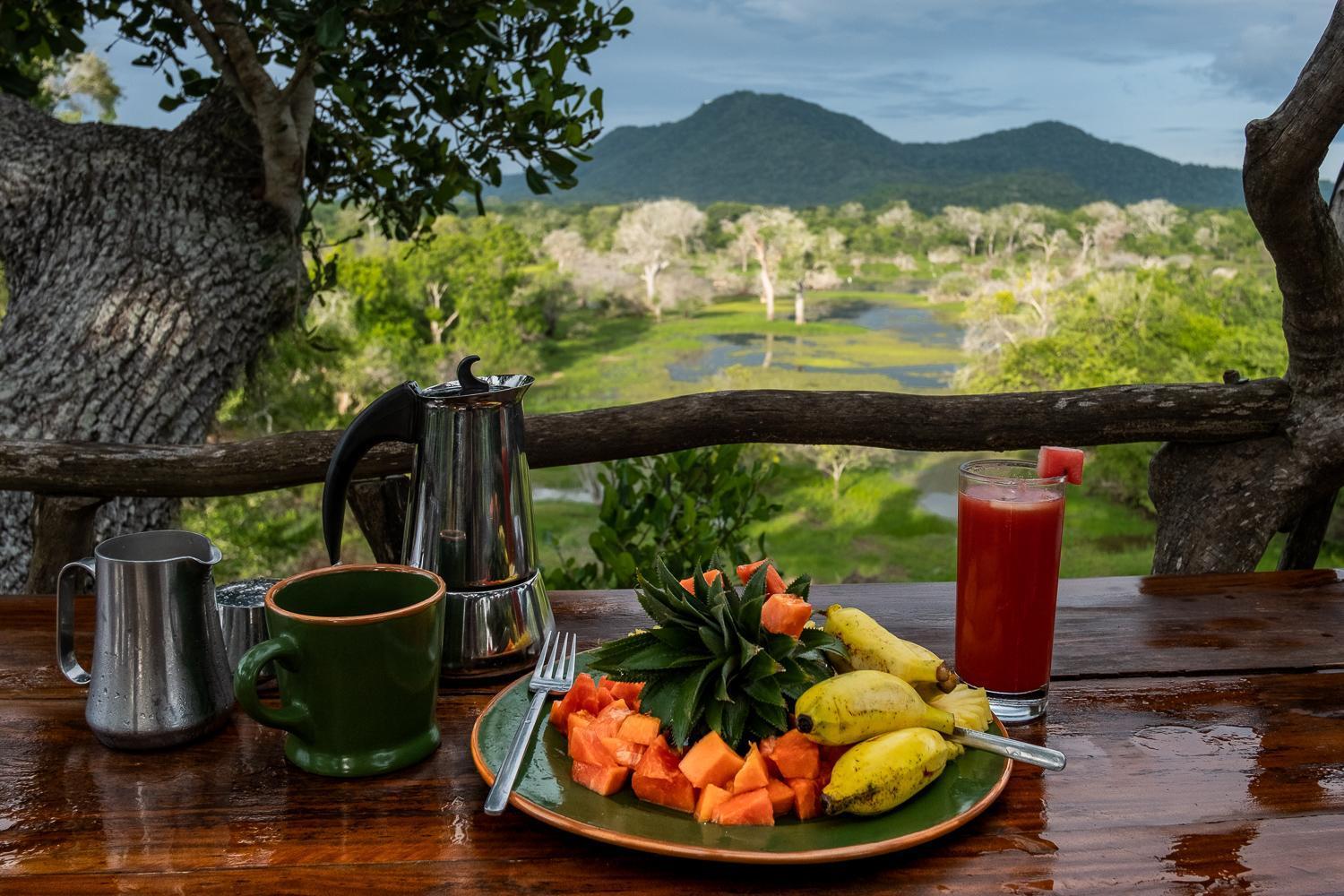 Kulu Safaris - Yala